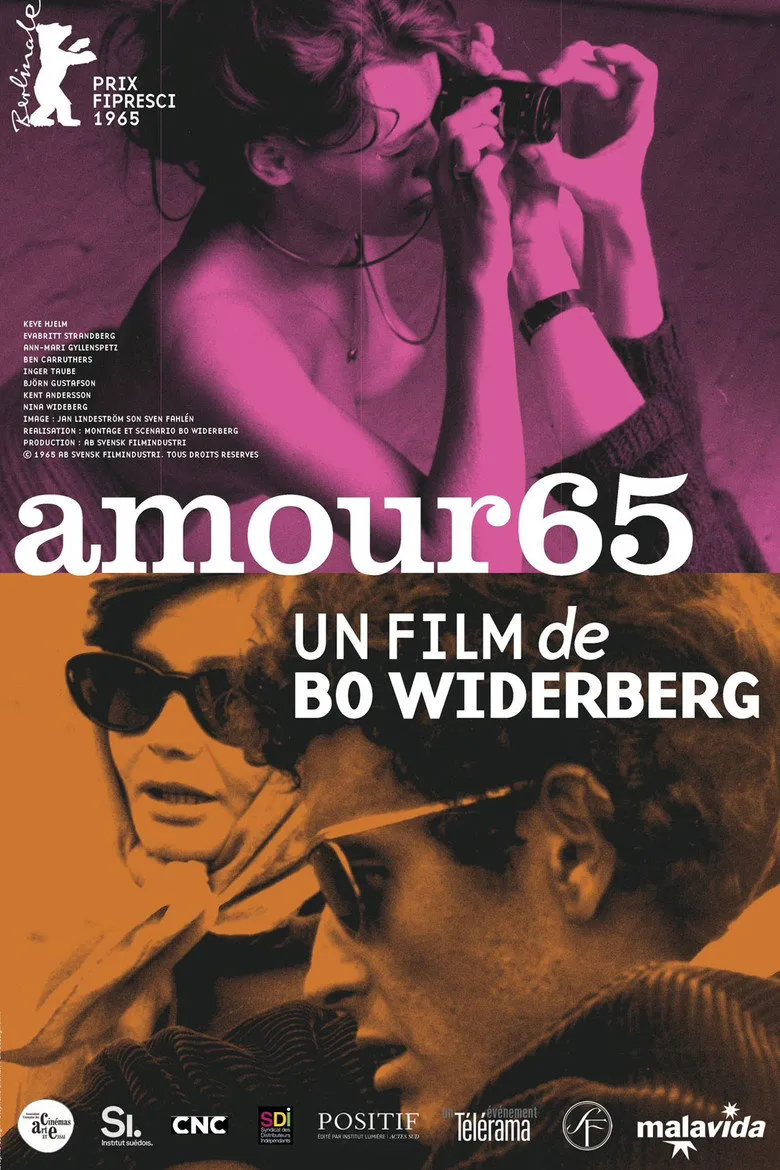 Affiche de Amour 65