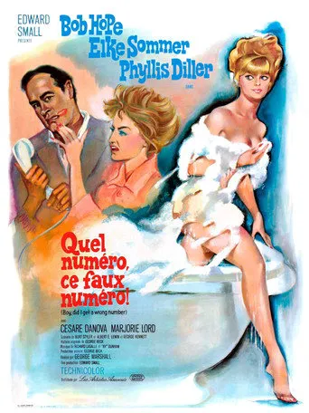 Affiche de Boy, Did I Get a Wrong Number!