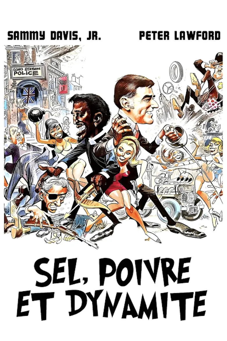 Affiche de Sel, poivre et dynamite