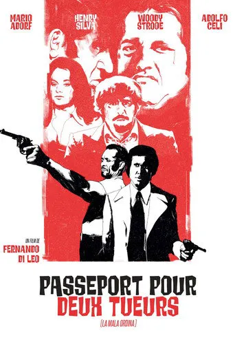 Affiche de Passeport pour deux tueurs