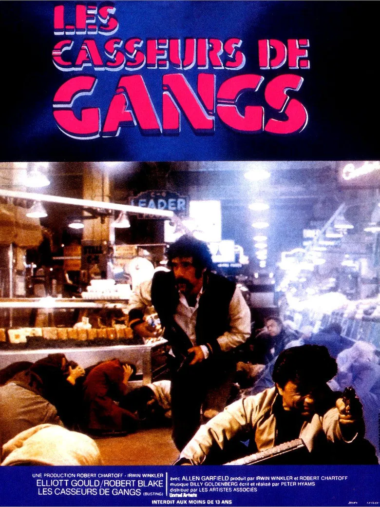 Affiche de Les Casseurs De Gangs