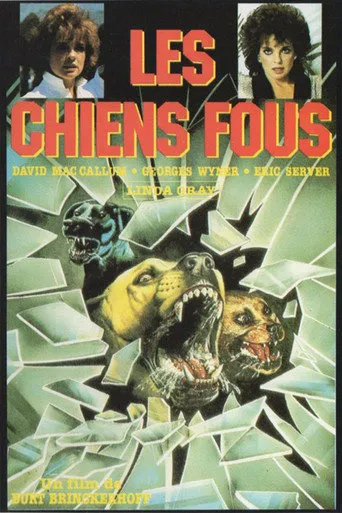 Affiche de Les chiens fous