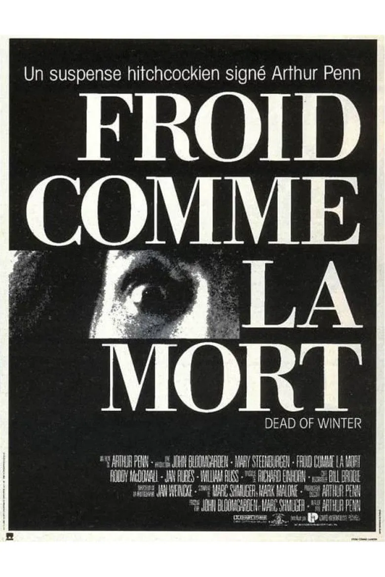 Affiche de Froid comme la mort