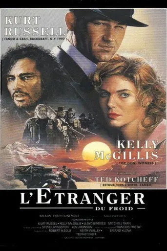 Affiche de L'étranger du froid