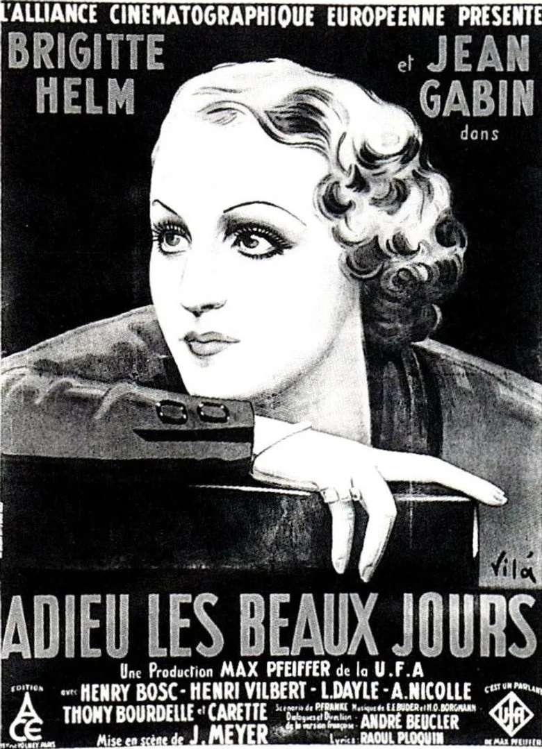 Affiche de Adieu les beaux jours