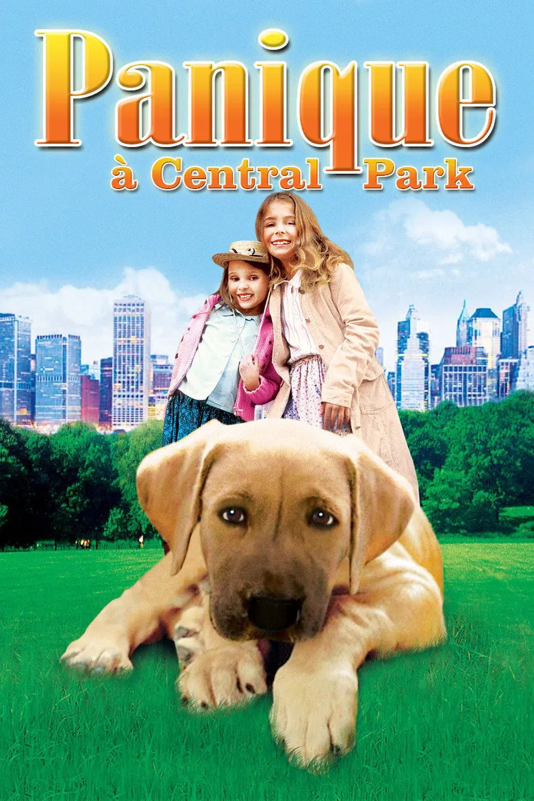 Affiche de Panique à Central Park