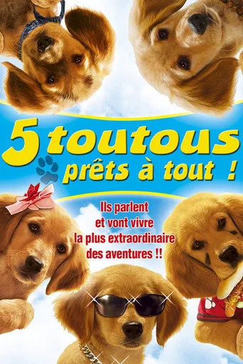 Affiche de 5 toutous prêts à tout