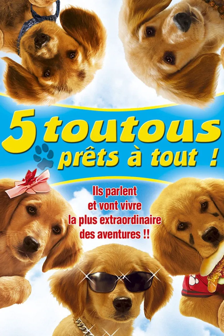 Affiche de 5 toutous prêts à tout