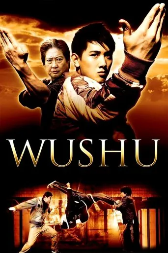 Affiche de Wushu