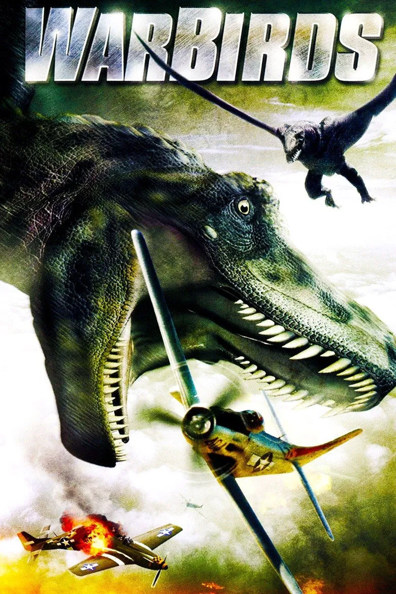 Affiche de Warbirds
