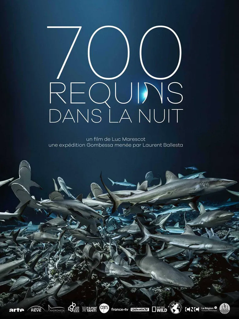 Affiche de 700 requins dans la nuit