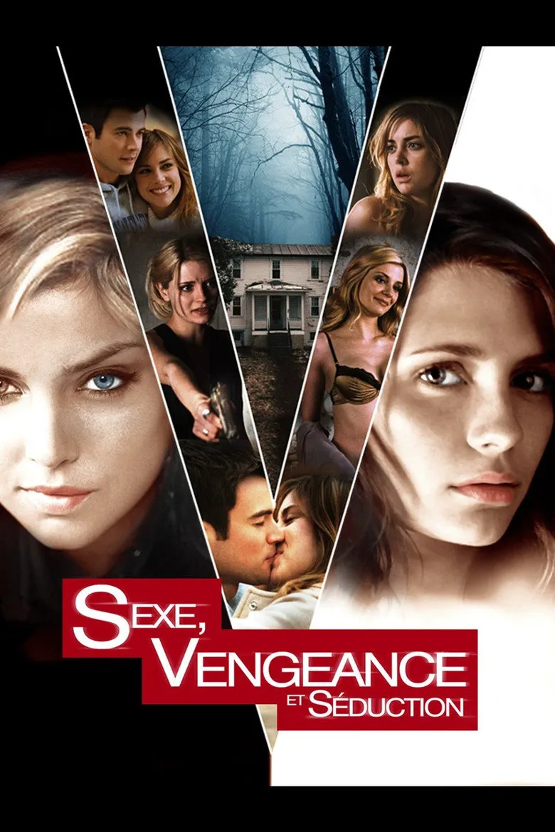 Affiche de Sexe, Vengeance et Séduction