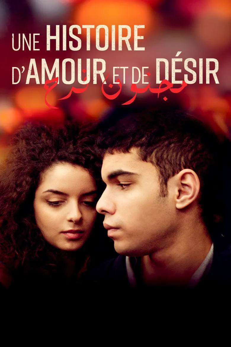 Affiche de Une histoire d'amour et de désir