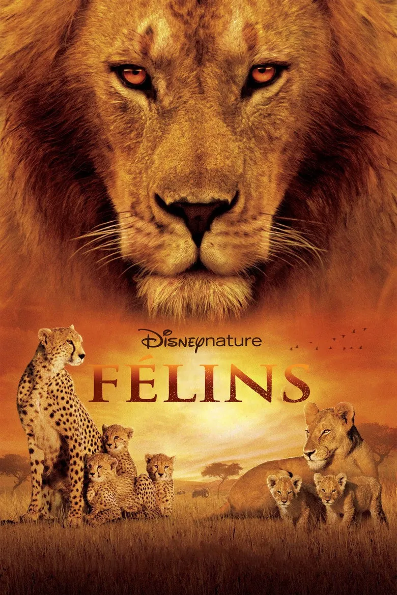 Affiche de Félins