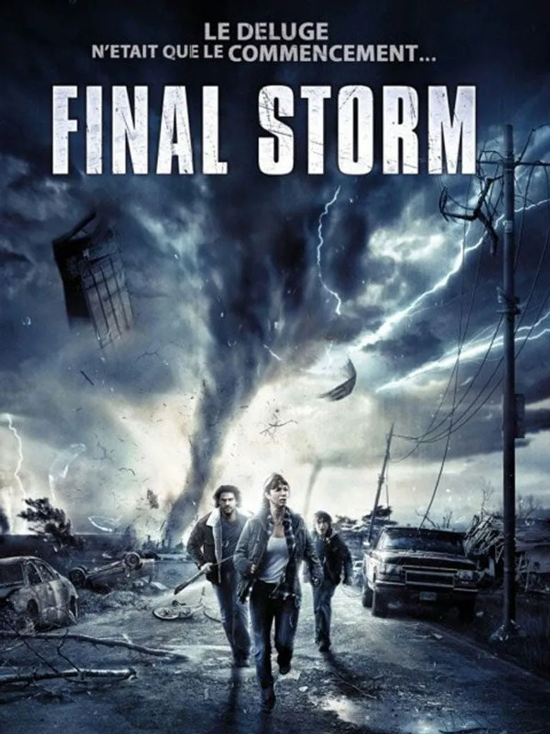 Affiche de Final Storm
