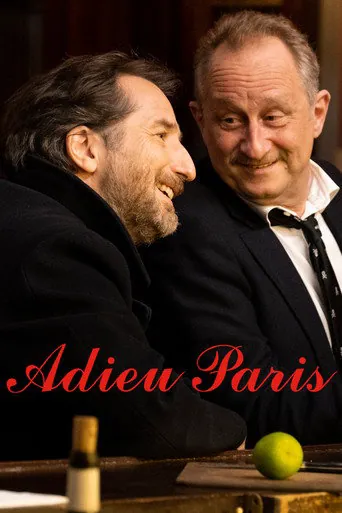 Affiche de Adieu Paris