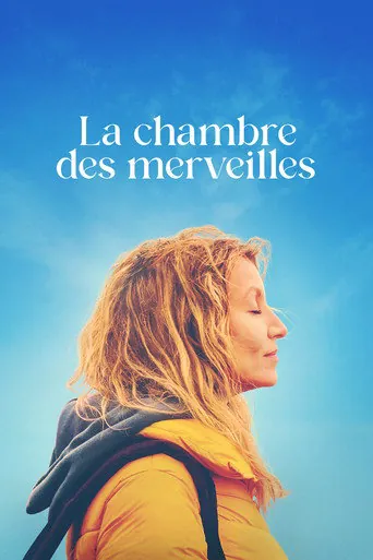 Affiche de La Chambre des merveilles