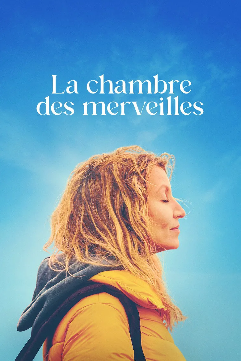 Affiche de La Chambre des merveilles