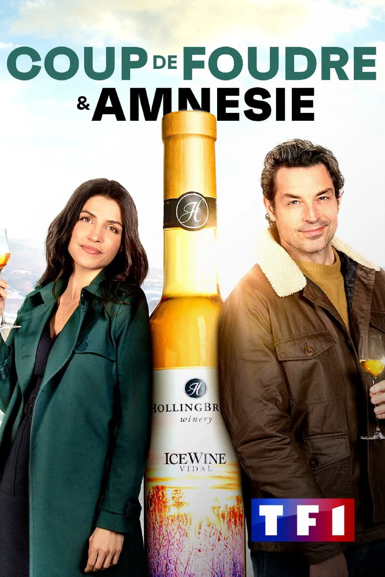 Affiche de Coup de foudre et amnésie