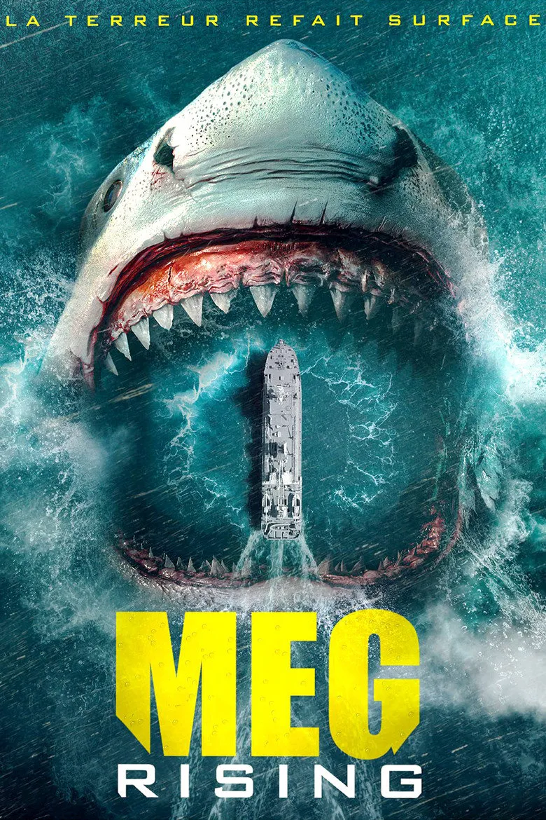 Affiche de Meg Rising