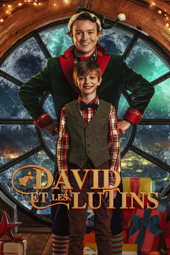 Affiche de David et les lutins