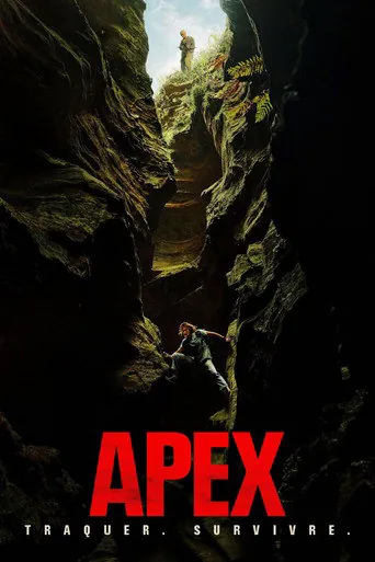 Affiche de Apex