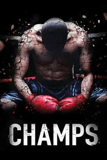 Affiche de Champs