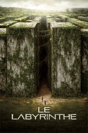 Affiche de Le Labyrinthe