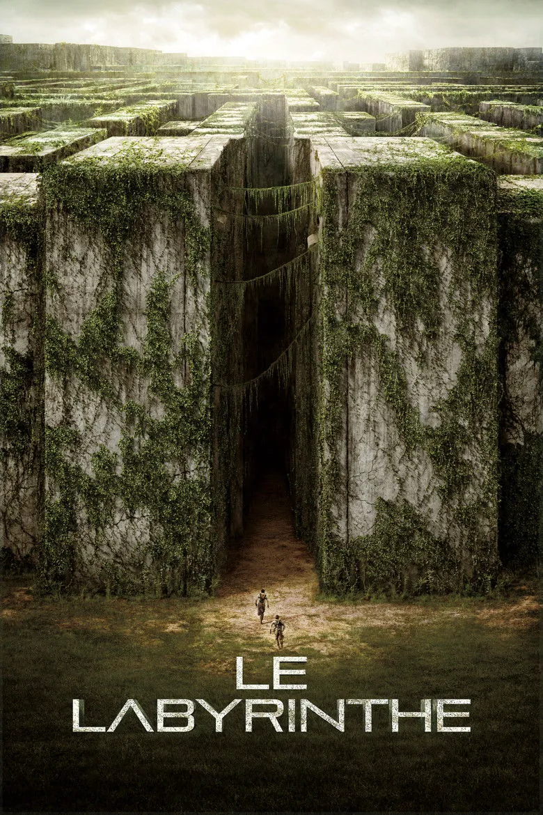 Affiche de Le Labyrinthe