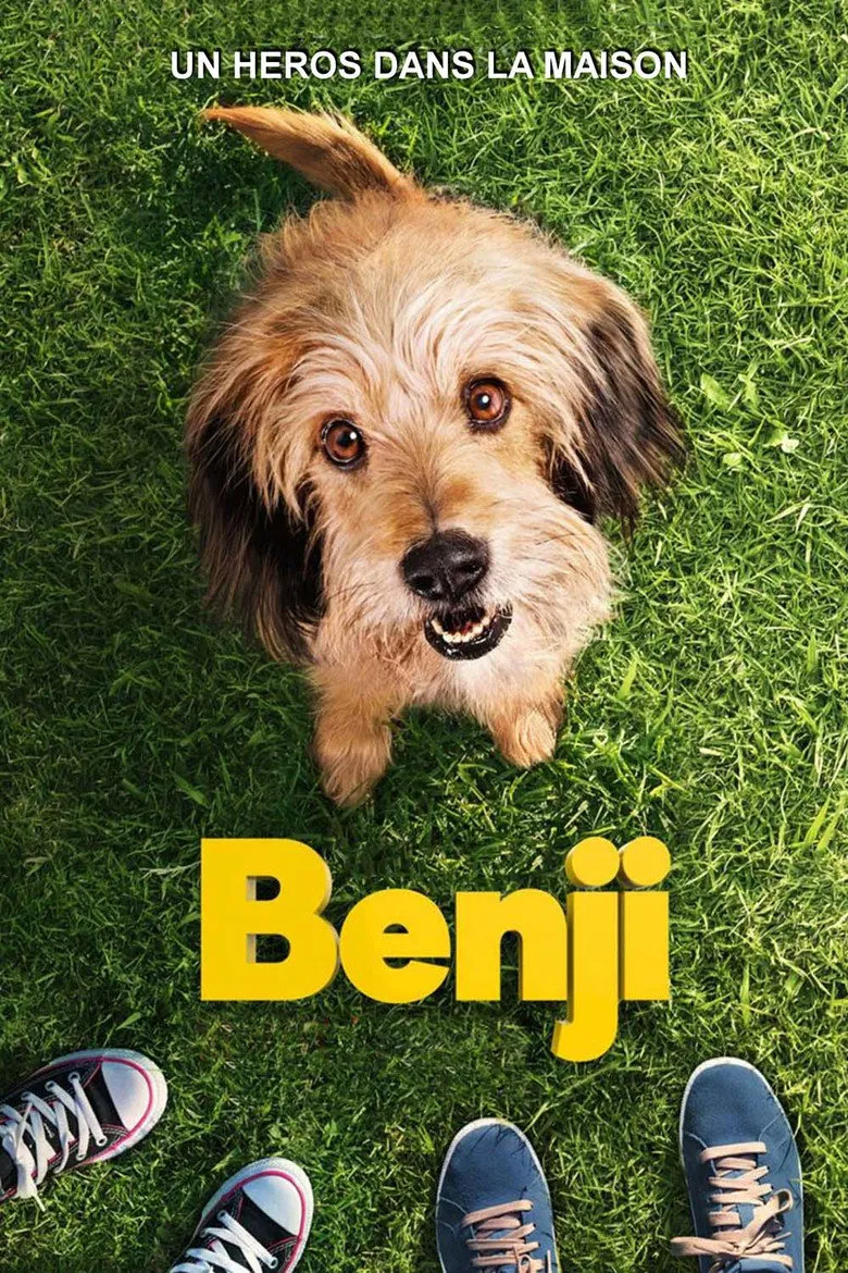 Affiche de Benji