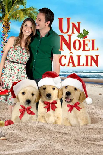 Affiche de 3 amis pour Noël