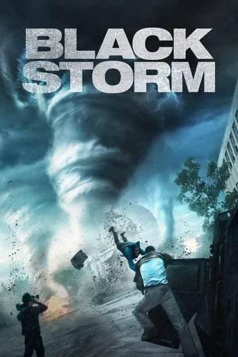 Affiche de Black Storm