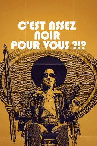 Affiche de C'est assez noir pour vous ?!?