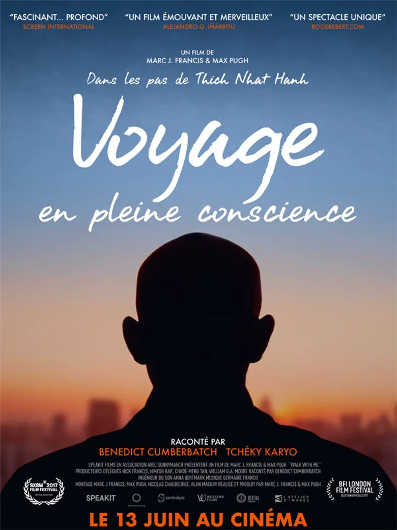 Affiche de Voyage en pleine conscience