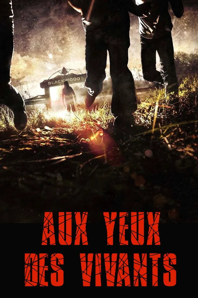 Affiche de Aux yeux des vivants