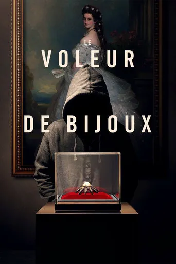 Affiche de Le voleur de bijoux