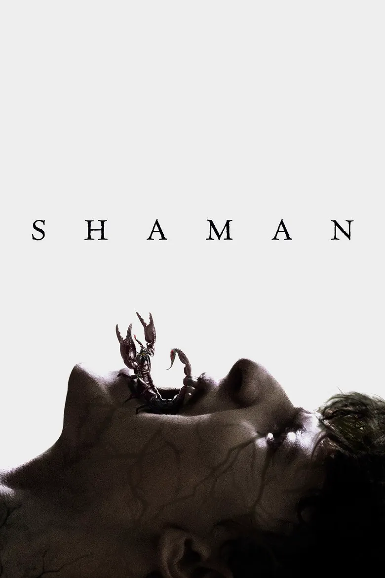 Affiche de Shaman