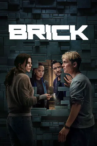 Affiche de Brick