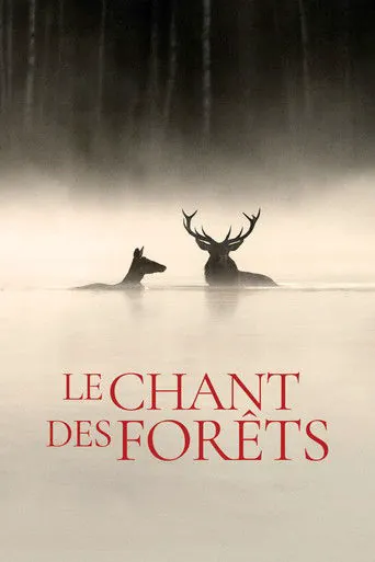 Affiche de Le Chant des forêts