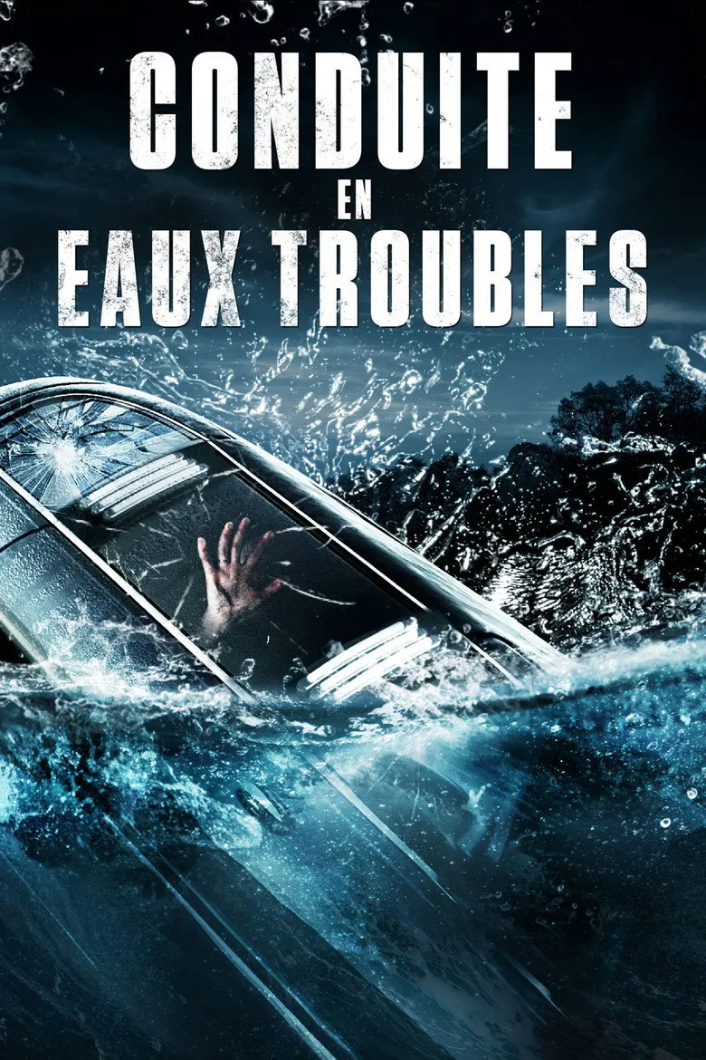 Affiche de Conduite en eaux troubles