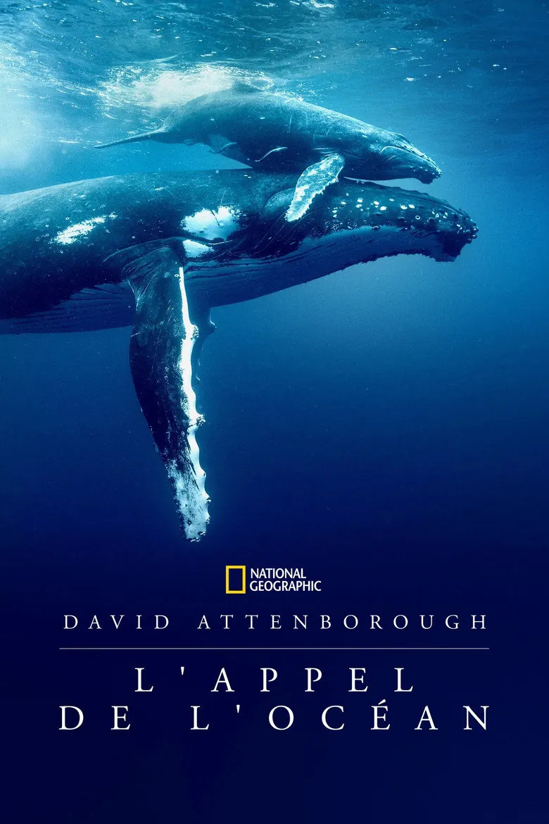 Affiche de David Attenborough : L'Appel de l'Océan