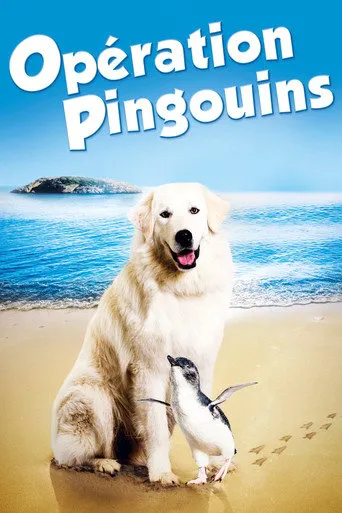 Affiche de Opération Pingouins