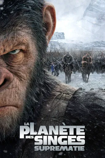 Affiche de La Planète des singes : Suprématie
