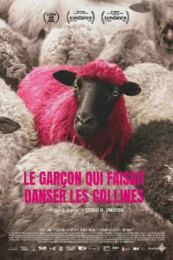 Affiche de Le Garçon qui faisait danser les collines