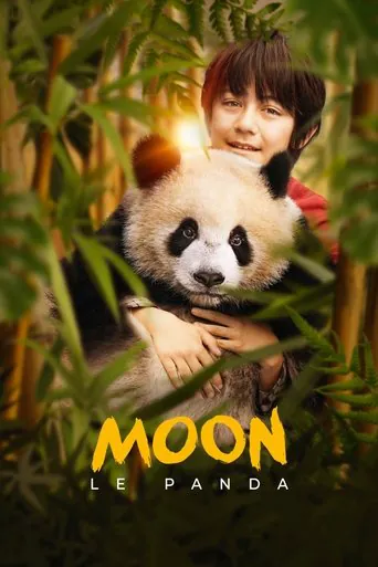 Affiche de Moon le Panda
