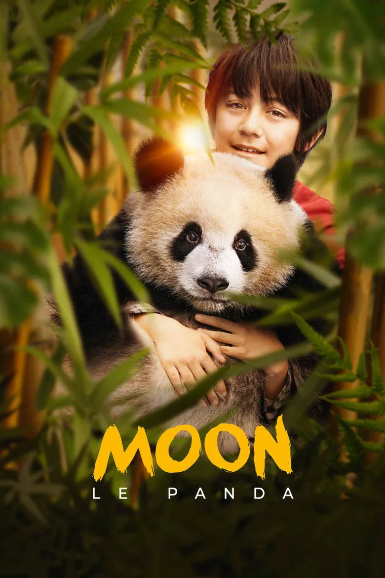 Affiche de Moon le Panda