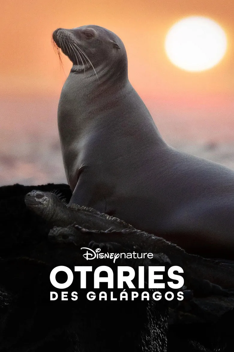 Affiche de Otaries des Galápagos