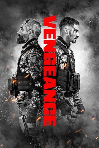 Affiche de Vengeance