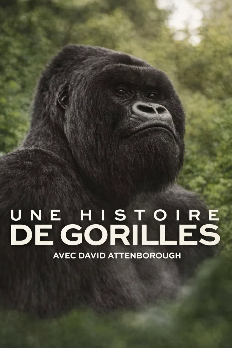 Affiche de Une histoire de gorilles avec David Attenborough