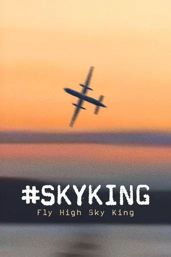Affiche de #SKYKING